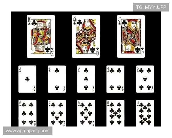 免费下载扑克王apk，立即开启丰富多彩的扑克游戏乐趣